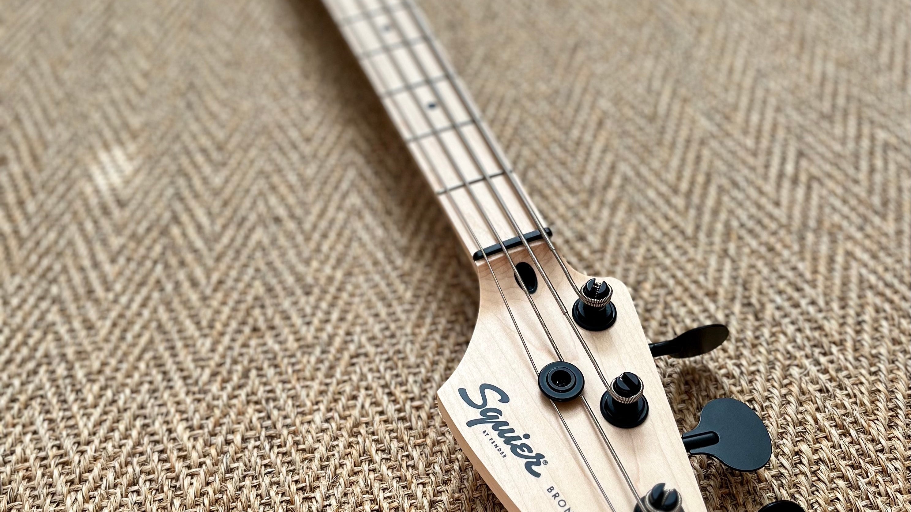 Rebecca's Bronco Bass project