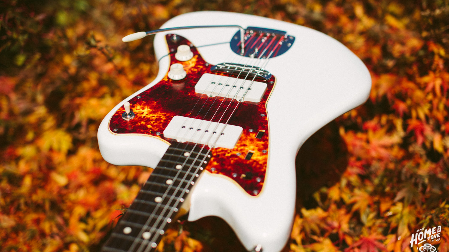 Pickup spotlight - McNelly Jazzmaster range