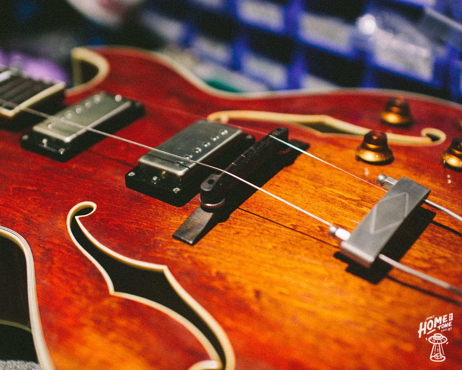 Project - My wife's new archtop, now back in one piece for good, I promise.