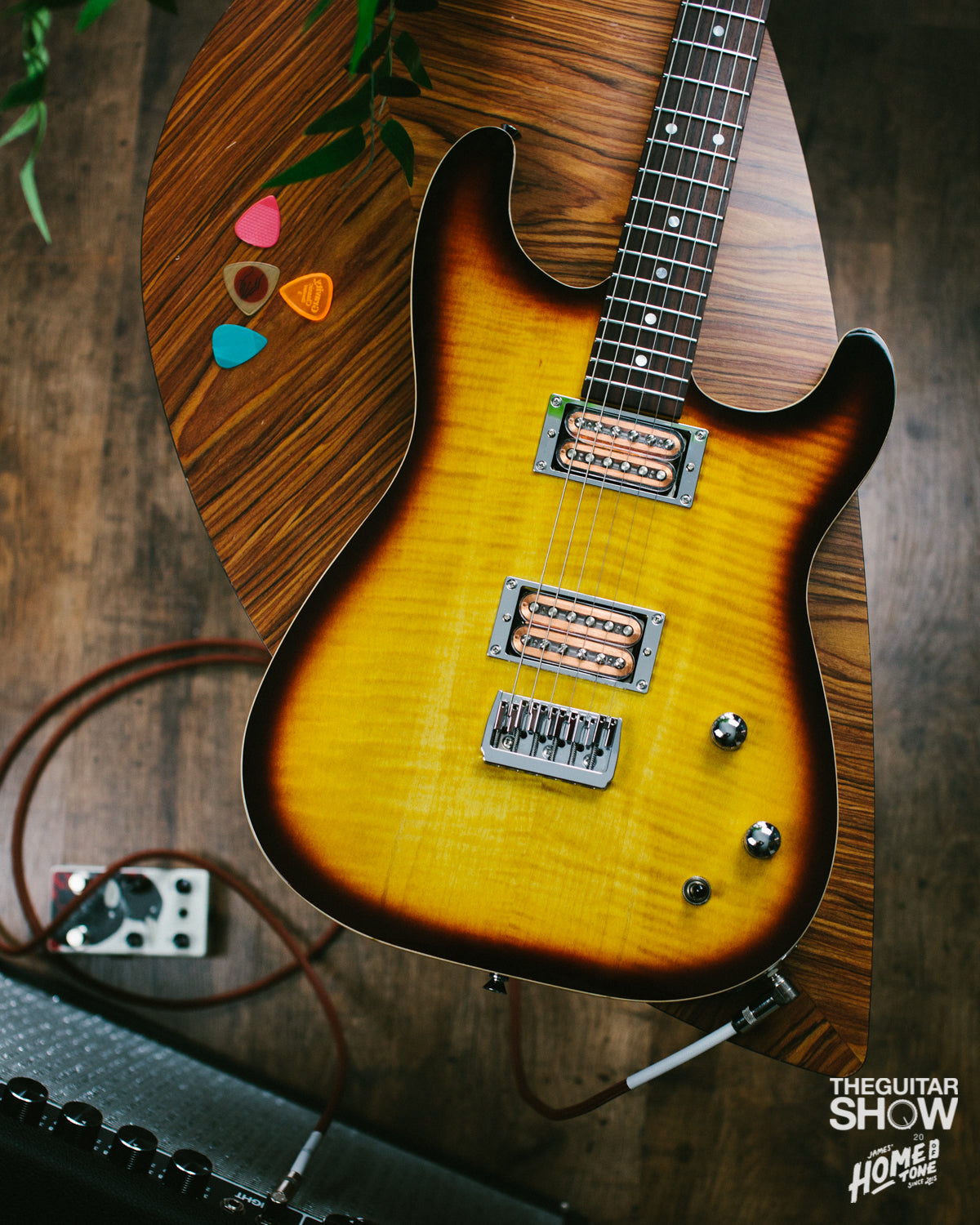 The Guitar Show 2020 Charity Raffle Guitar final reveal!