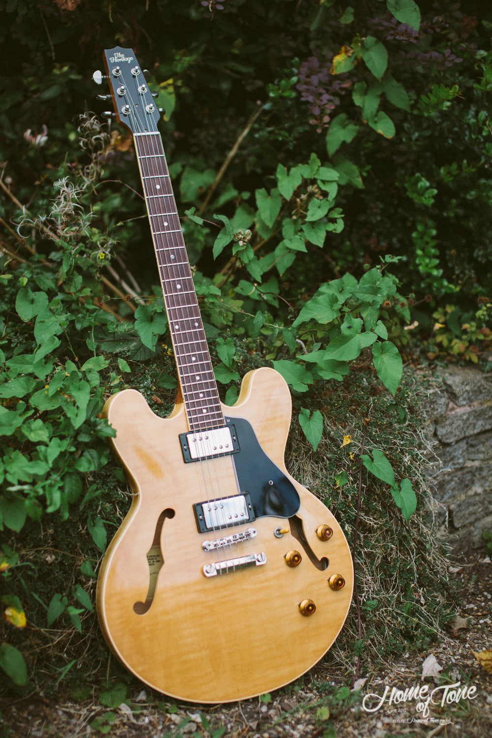 Guitarists Anonymous - Semi-Hollow but full of life, my old Heritage H535