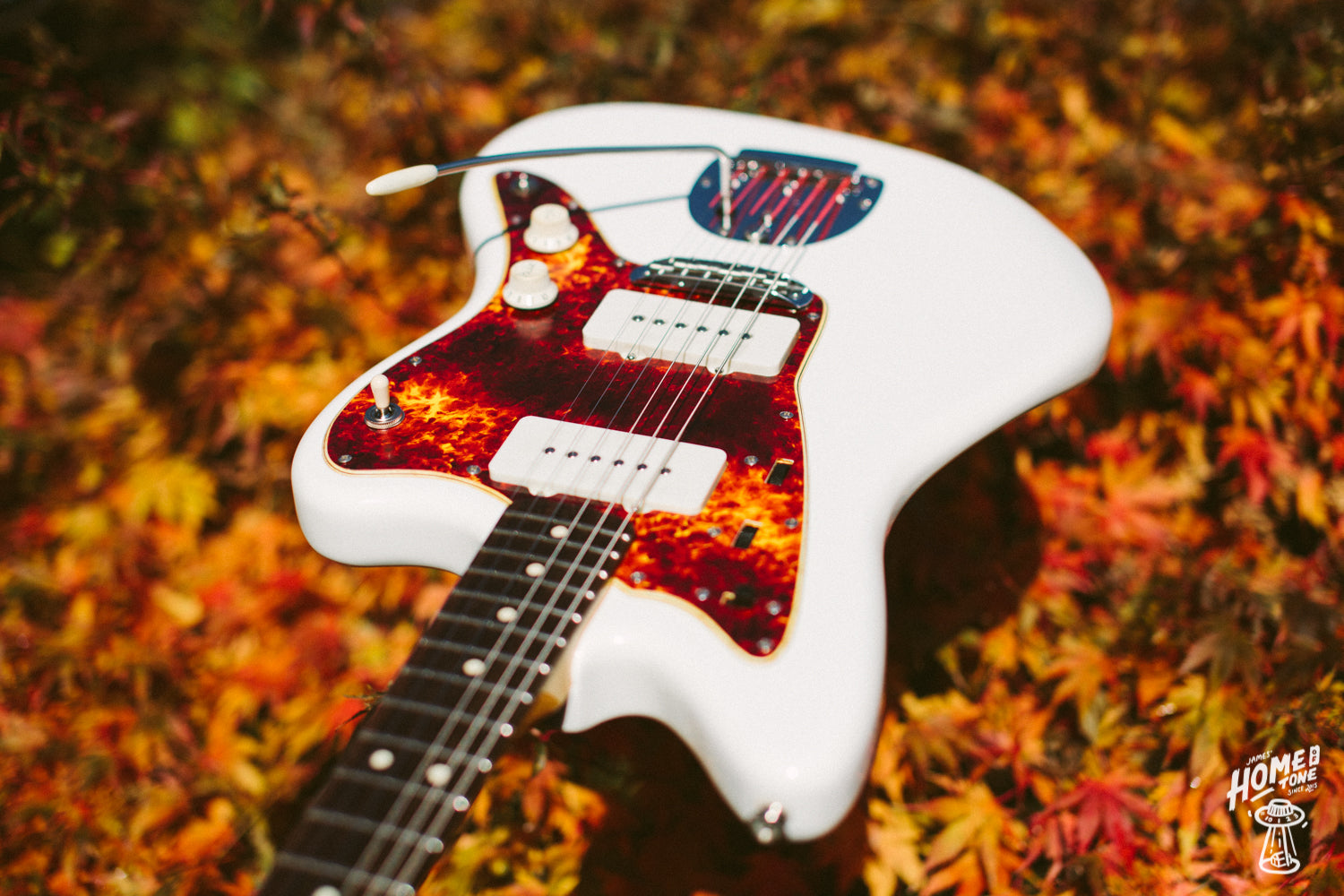 Pickup spotlight - McNelly Jazzmaster range