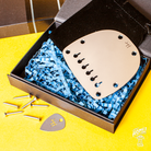 Halon Guitar Parts hardtail vibrato plate in chrome 