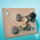 Home of Tone Signature Series 50s style Les Paul phase switch push pull pre wired harness loom close up