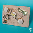 Home of Tone Signature Series 54 spec vintage Stratocaster pre wired harness loom