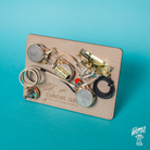 Home of Tone Signature Series HSS Stratocaster harness wiring loom