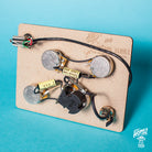 Home of Tone Signature Series Les Paul Blower Switch wiring harness loom