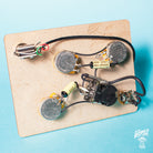 Home of Tone Signature Series Les Paul Blower Switch wiring harness loom