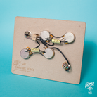 Home of Tone Signature Series Les Paul Double Cut Special harness wiring loom