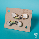 Home of Tone Signature Series Les Paul modern wiring kit pots section