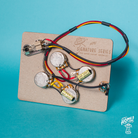 Home of Tone Signature Series Telecaster Custom pre wired harness wiring loom