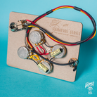 Home of Tone Signature Series Telecaster Deluxe pre wired harness wiring loom