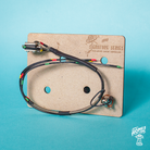 Home of Tone Signature Series nickel les paul toggle switch harness loom separate lead outs