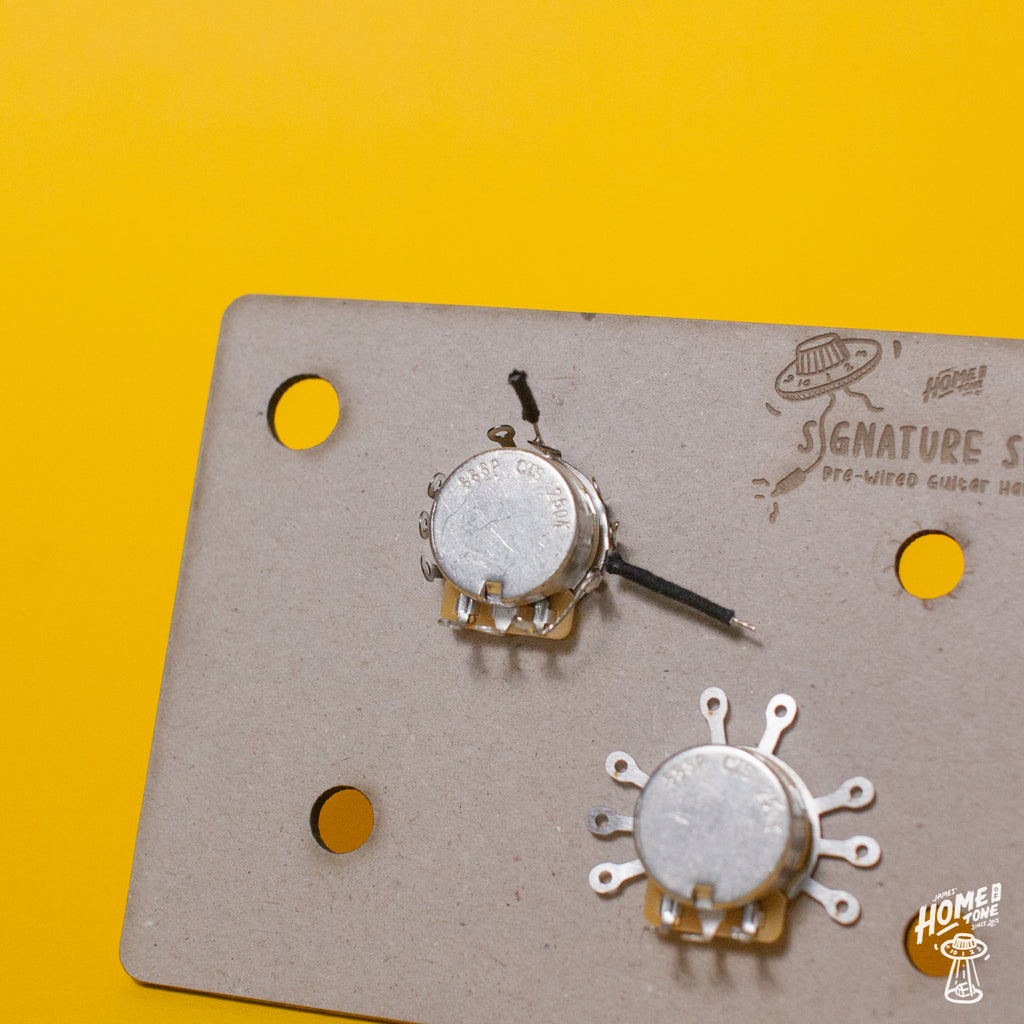 Swannell Guitars Original GROUND BUG Ground lug pot washer James