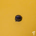 Davies Molding 1470 USA made 'Klon' control knob for 6.35mm solid shaft USA spec pots